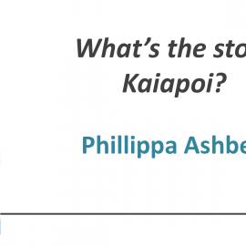 What's the story Kaiapoi?, Phillippa Ashbey
