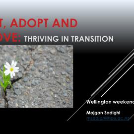 Adapt, Adopt, and Improve:  Thriving in Transition
