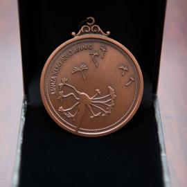 LIANZA Children's Book Awards 2013