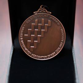 LIANZA Children's Book Awards 2013