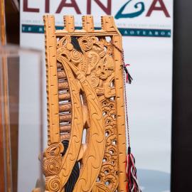 LIANZA Children's Book Awards 2013