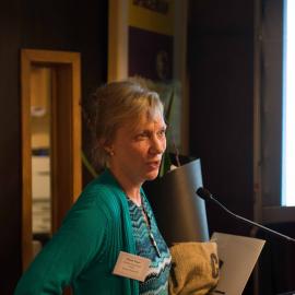 LIANZA Children's Book Awards 2013