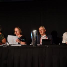 LIANZA Conference 2017 AGM 