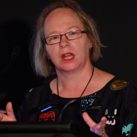 LIANZA Conference 2017 AGM 