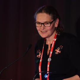 LIANZA Conference 2017 AGM 