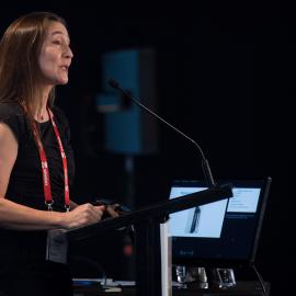 LIANZA Conference 2017 Day Three Class