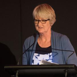 LIANZA Conference 2017 Day Three Class