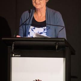 LIANZA Conference 2017 Day Three Class