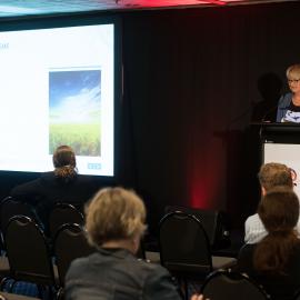 LIANZA Conference 2017 Day Three Class