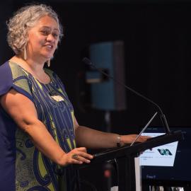 LIANZA Conference 2017 Day Three Class