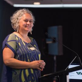 LIANZA Conference 2017 Day Three Class