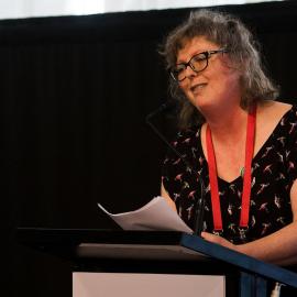 LIANZA Conference 2017 Day Three Class