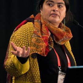 LIANZA Conference 2017 Day Three Class