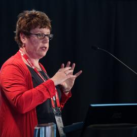 LIANZA Conference 2017 Day Three Class