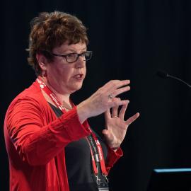 LIANZA Conference 2017 Day Three Class