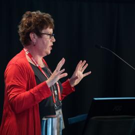 LIANZA Conference 2017 Day Three Class