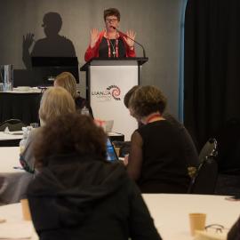 LIANZA Conference 2017 Day Three Class