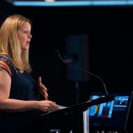 LIANZA Conference 2017 Day Three Class