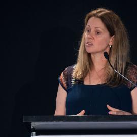 LIANZA Conference 2017 Day Three Class