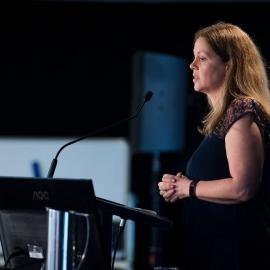 LIANZA Conference 2017 Day Three Class