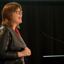 LIANZA Conference 2017 Day Two Class