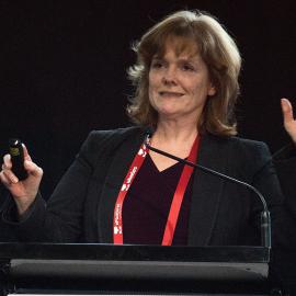 LIANZA Conference 2017 Day Two Class