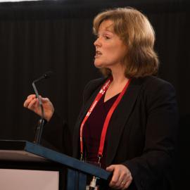 LIANZA Conference 2017 Day Two Class