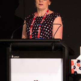 LIANZA Conference 2017 Day Two Class