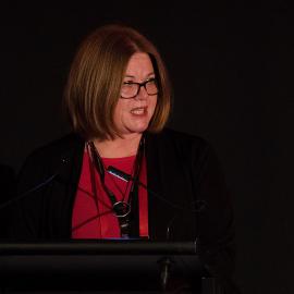 LIANZA Conference 2017 Day Two Class