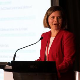 LIANZA Conference 2017 Day Two Class