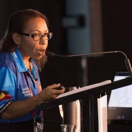 LIANZA Conference 2017 Day Two Class