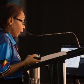 LIANZA Conference 2017 Day Two Class