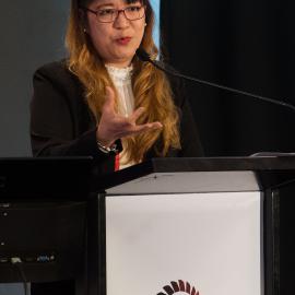 LIANZA Conference 2017 Day Two Class