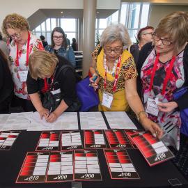 LIANZA Conference 2017 Delegates