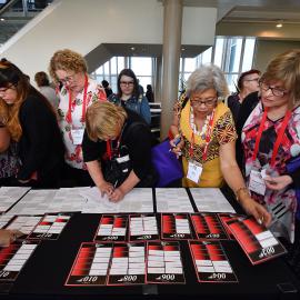 LIANZA Conference 2017 Delegates