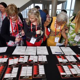 LIANZA Conference 2017 Delegates