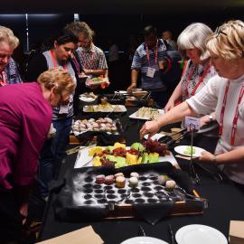 LIANZA Conference 2017 Delegates