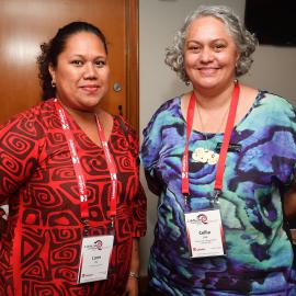 LIANZA Conference 2017 Delegates