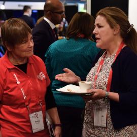 LIANZA Conference 2017 Delegates