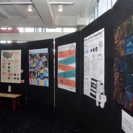LIANZA Conference Poster sessions 