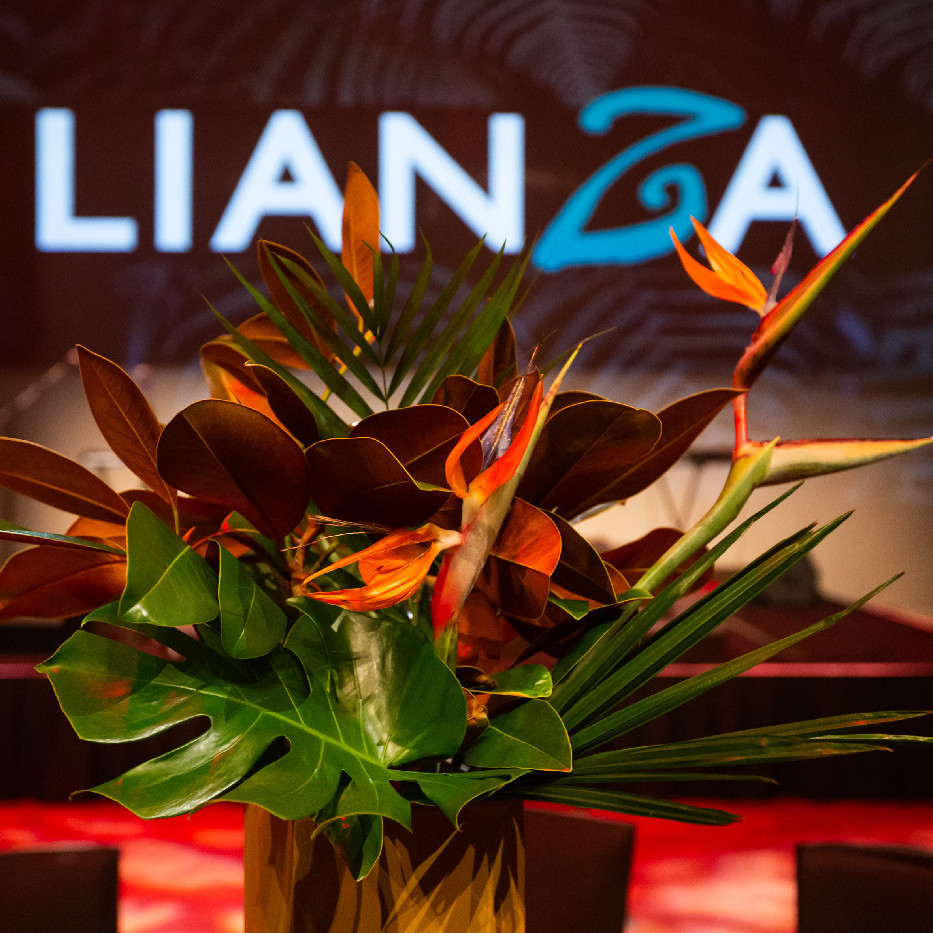 LIANZA Conference 2019