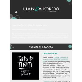 LIANZA Kōrero February 2025