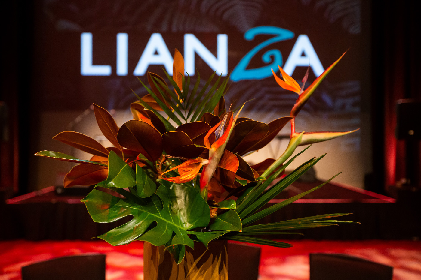 LIANZA Conference 2019
