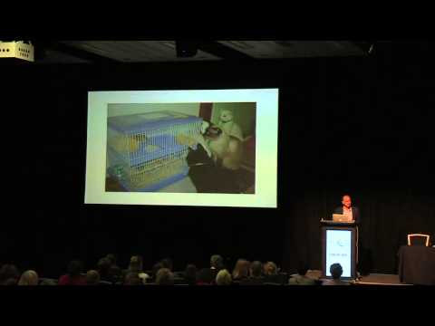 Nathan Torkington - Keynote Presentation LIANZA '13