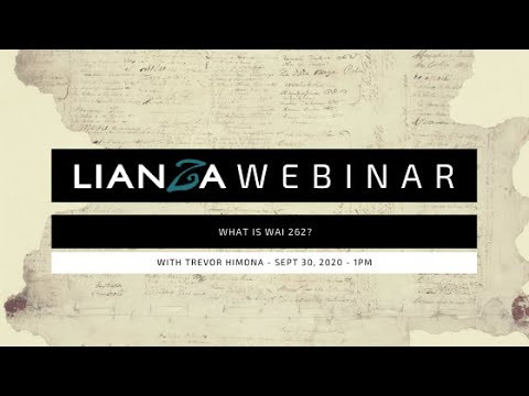 LIANZA WEBINAR - WHAT IS WAI 262?