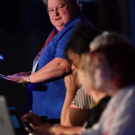 LIANZA Conference 2017 AGM 