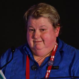 LIANZA Conference 2017 AGM 