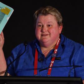 LIANZA Conference 2017 AGM 